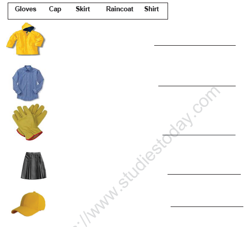 Cbse Class 1 Evs Clothes Worksheet